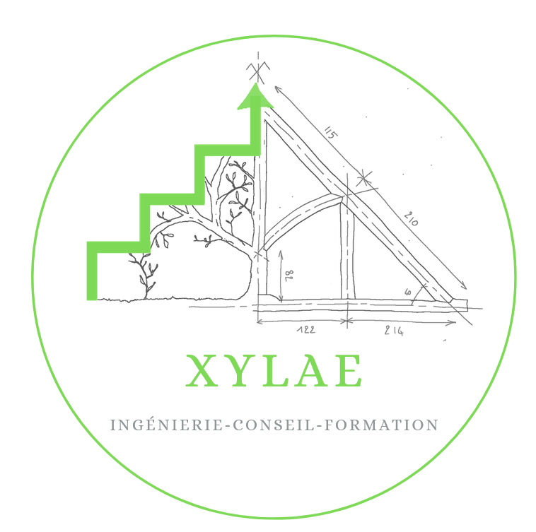 Logo-Xylae